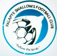 PALAPYE SWALLOWS FC logo